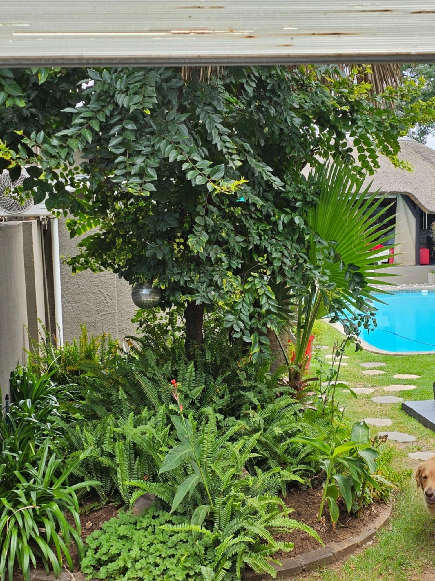 The Armagh Guesthouse Boksburg Buitenkant foto